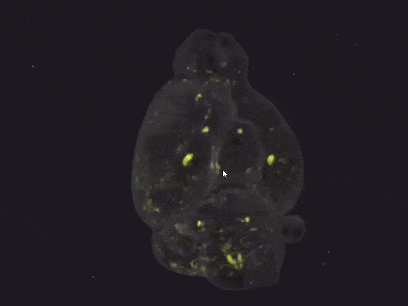 GIF Test